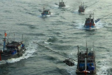 Ngư dân Cà Mau quyết tâm bám biển, bảo vệ chủ quyền